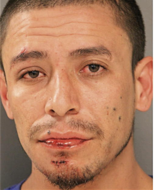 CHRISTAN TAMAYO, Cook County, Illinois