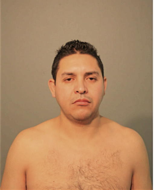ARTEMIO VILCHIS, Cook County, Illinois