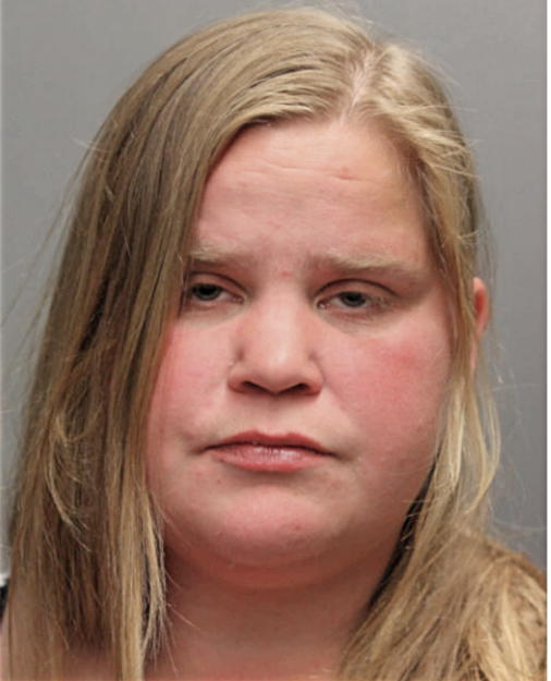 SARA J WELLS, Cook County, Illinois