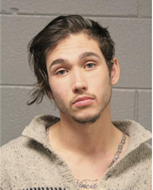 DANIEL J BOL, Cook County, Illinois
