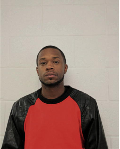 MICHAEL G BURKETT, Cook County, Illinois