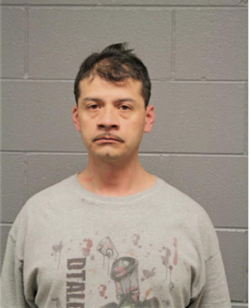 LUIS CASTELLON, Cook County, Illinois