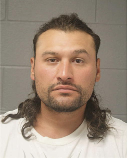 OMAR CENDEJAS, Cook County, Illinois