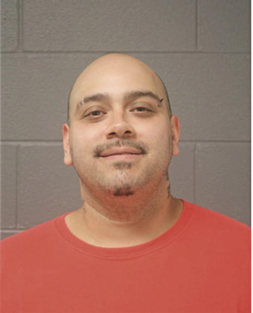 STEVE A CRUZ, Cook County, Illinois