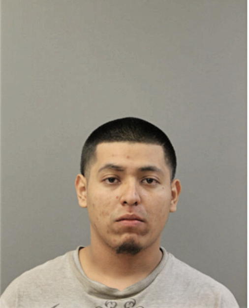 MIGUEL A DIAZ, Cook County, Illinois