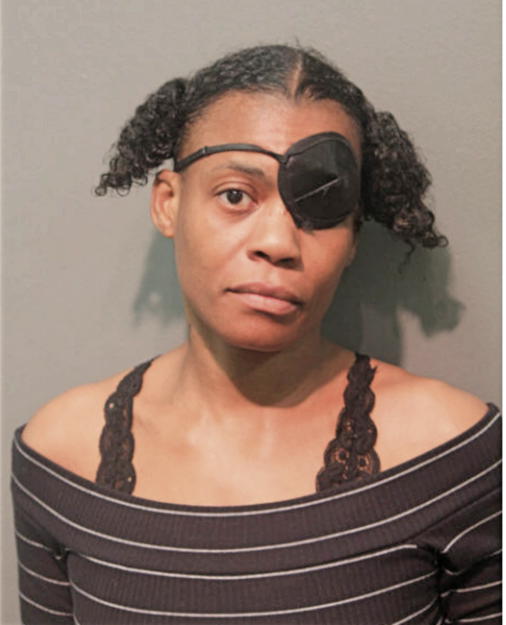 CARINA A ELEM, Cook County, Illinois