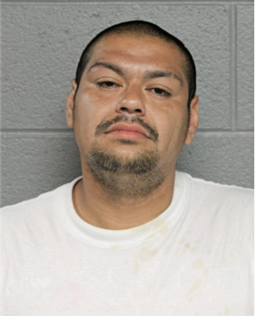 OSCAR G FERNANDEZ, Cook County, Illinois