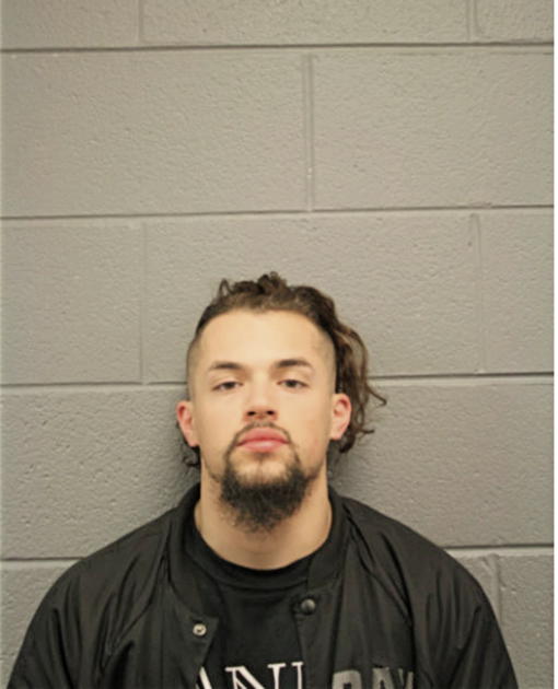 DARIEN M GORNICK, Cook County, Illinois