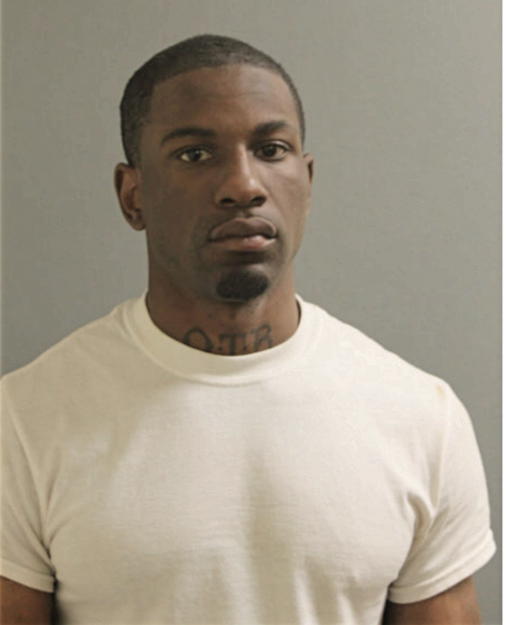 LOUIS P HAMPTON, Cook County, Illinois