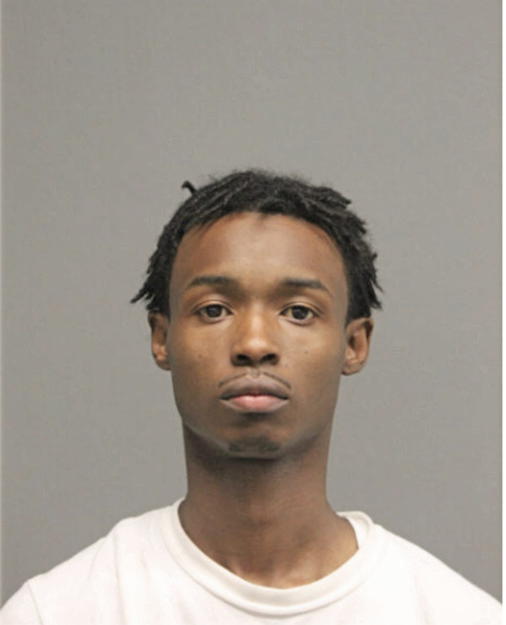 WILLIAM HOUSTON, Cook County, Illinois