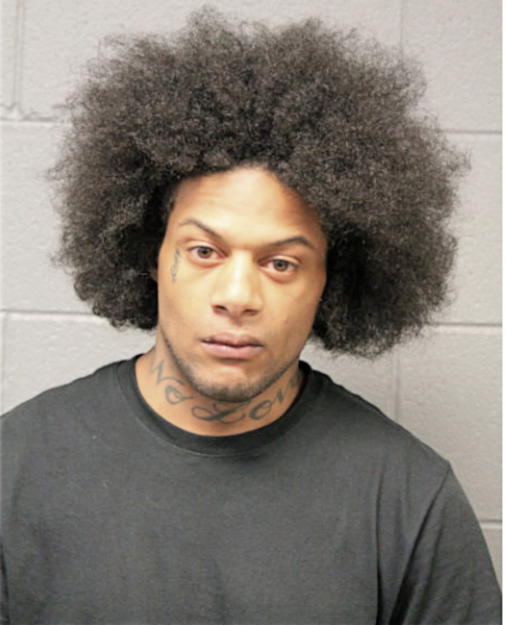 DWIGHT A JOHNSON, Cook County, Illinois