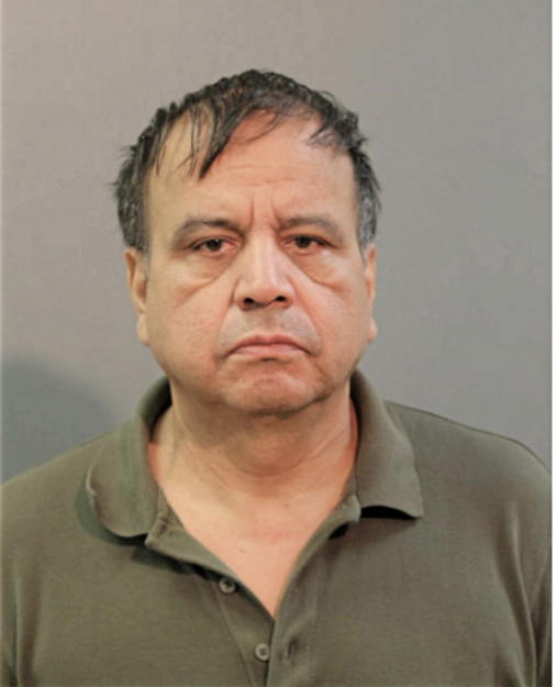 LUIS F MENDOZA, Cook County, Illinois