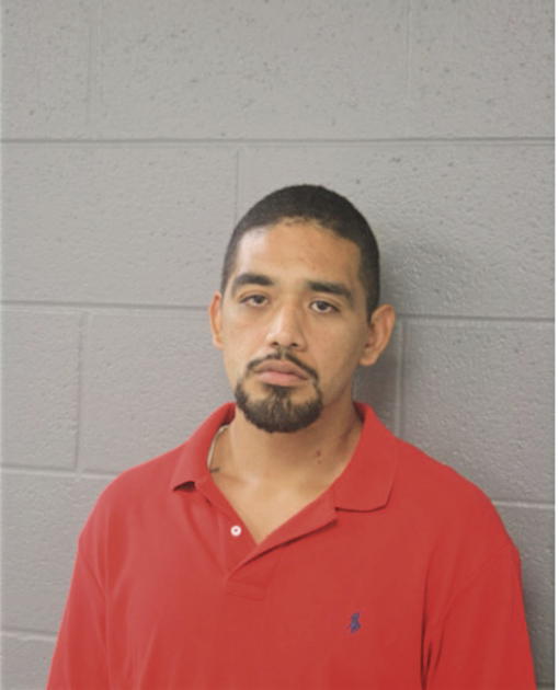 DAVID NAJERA, Cook County, Illinois