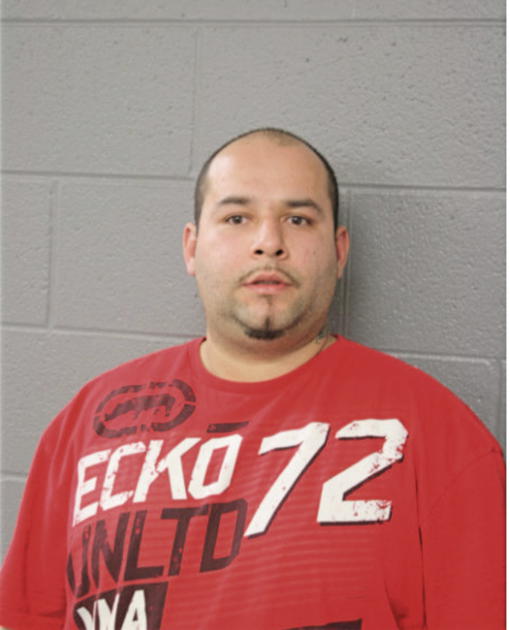 ROBERTO ORTEGA, Cook County, Illinois