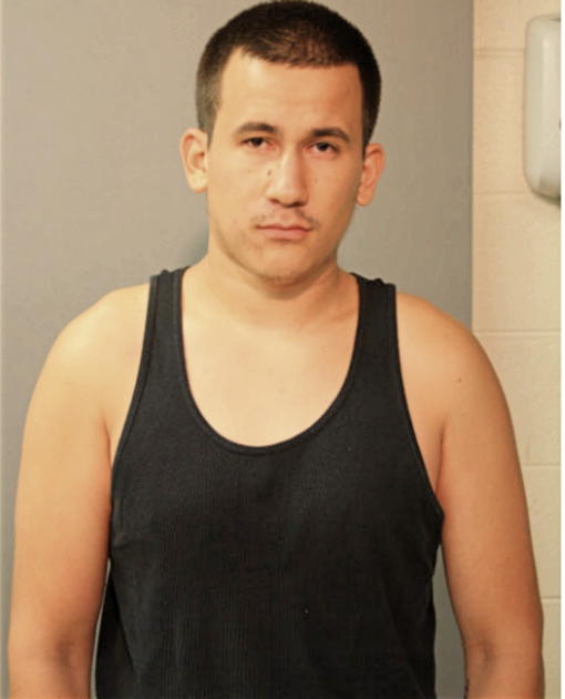 CESAR O ROMAN, Cook County, Illinois