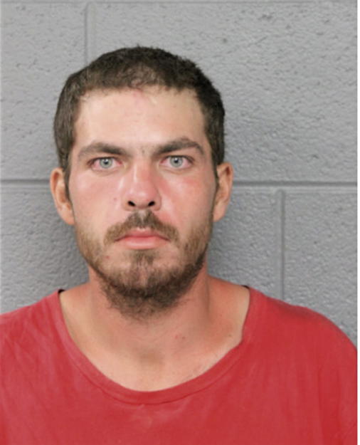 CARL T ROSE, Cook County, Illinois