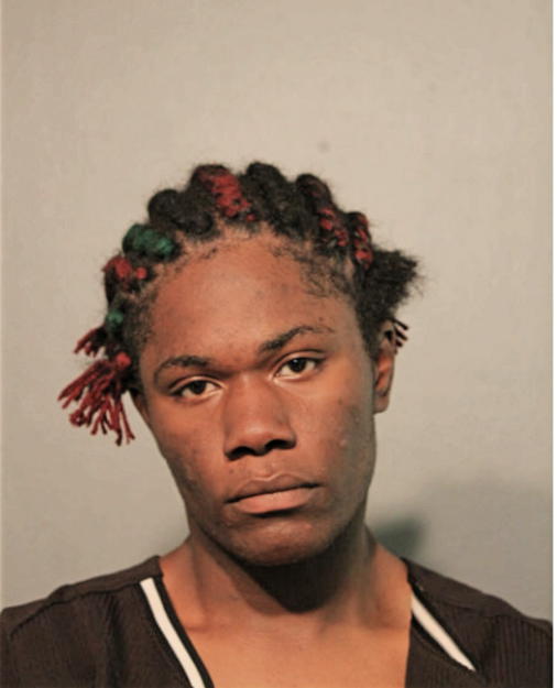 EMMANUEL L SMITH, Cook County, Illinois