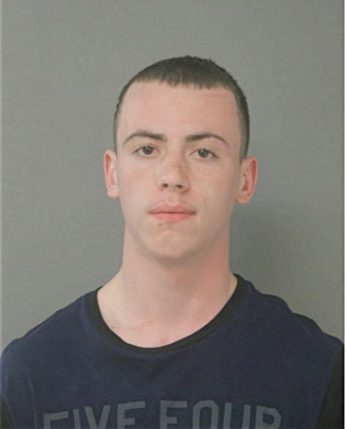 ALEXANDER N TORRES, Cook County, Illinois