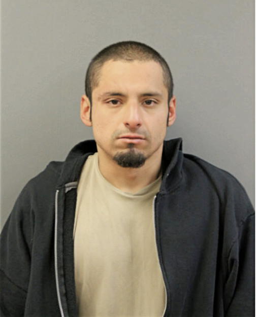 FRANCISCO J VEGA, Cook County, Illinois