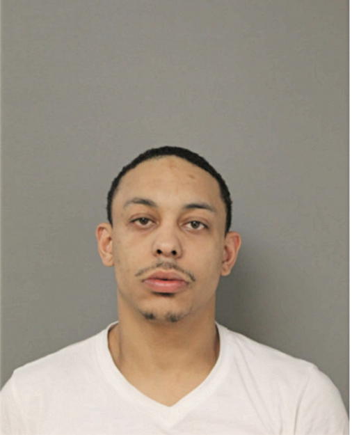 JONATHAN RM WILLIAMS, Cook County, Illinois
