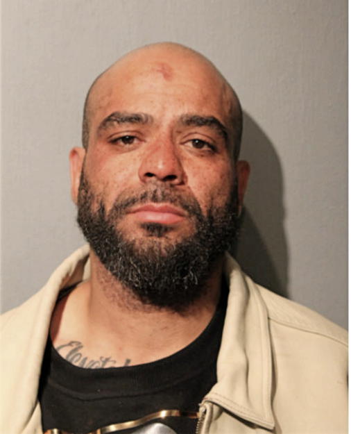 ROBERT N WISE, Cook County, Illinois