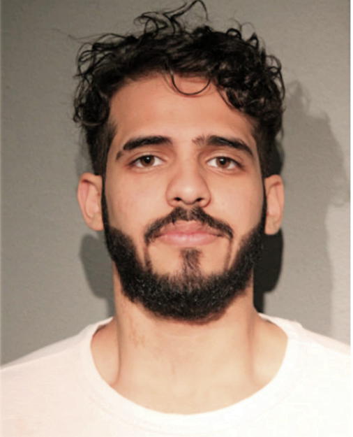 MAZYAD M ALNEFAIE, Cook County, Illinois
