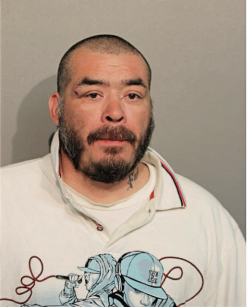 JOSE H BAHENA, Cook County, Illinois