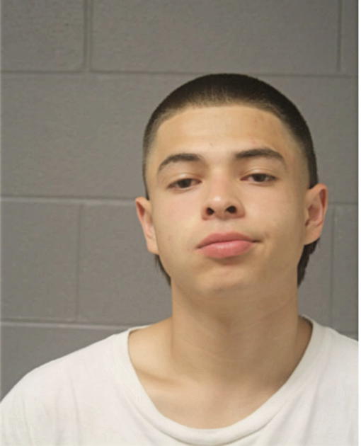 CARLOS CARDENAS, Cook County, Illinois