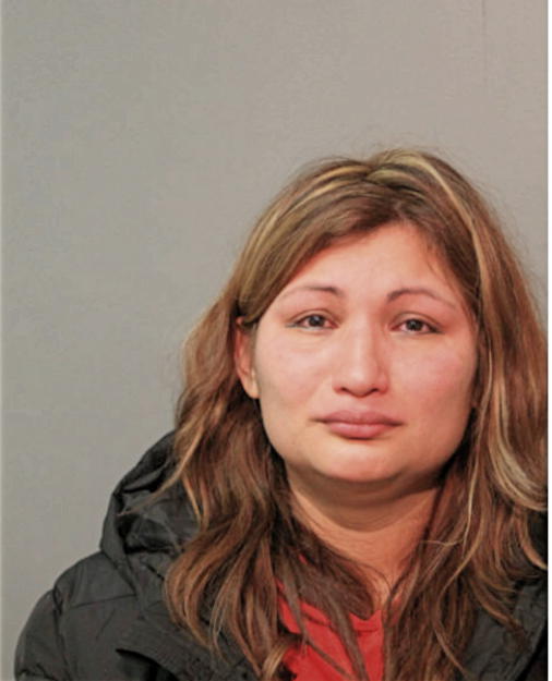 IRMA CASTREJON, Cook County, Illinois
