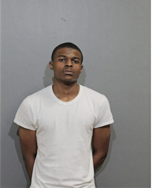 BRYAN M DANIELS, Cook County, Illinois