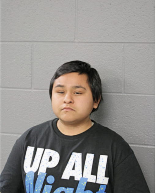ARIEL S DAVILA, Cook County, Illinois