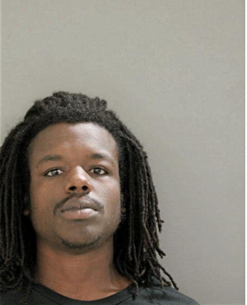 JUSTYN L EWING-BROWN, Cook County, Illinois