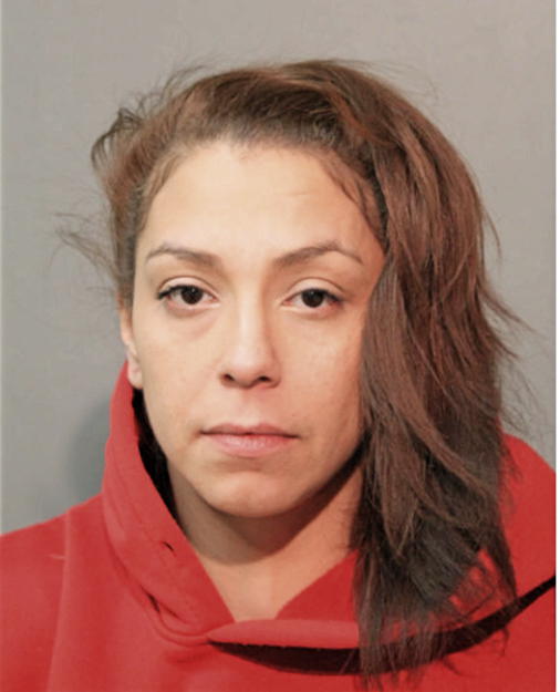 RACHEL M GARCIA, Cook County, Illinois