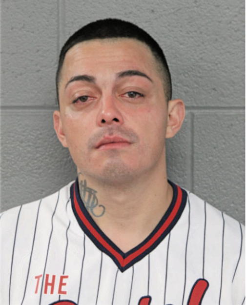 ALEJANDRO M GONZALEZ, Cook County, Illinois