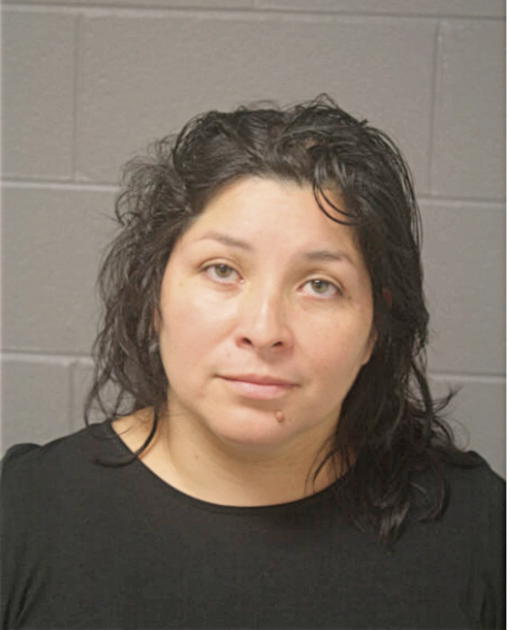 HEIDIE E HERNANDEZ, Cook County, Illinois