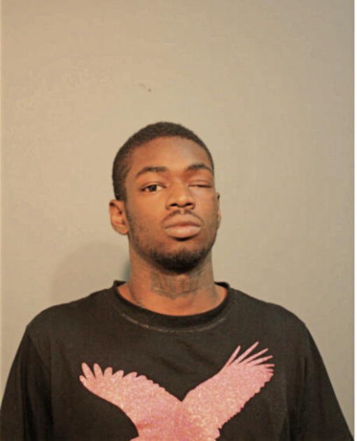 DEVON G HOMER, Cook County, Illinois