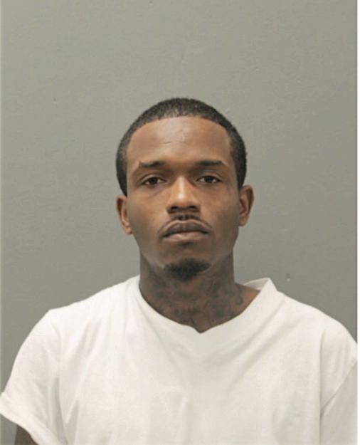 DEANDRE L HOWSE, Cook County, Illinois