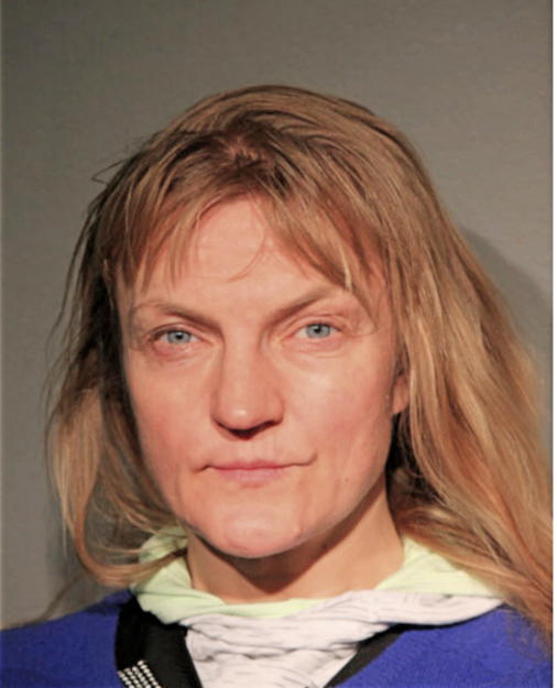 URSZULA J HUZIOR, Cook County, Illinois