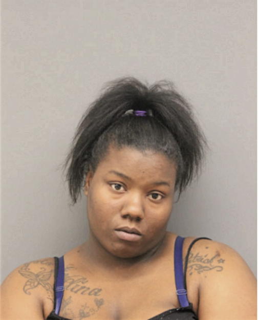 DANIELLE L JOHNSON, Cook County, Illinois