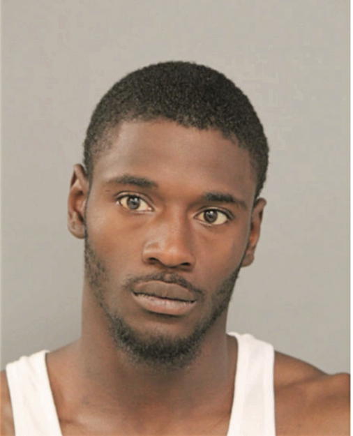 FERDINAND L JOHNSON, Cook County, Illinois