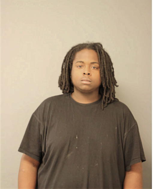REGINALD D JOHNSON, Cook County, Illinois