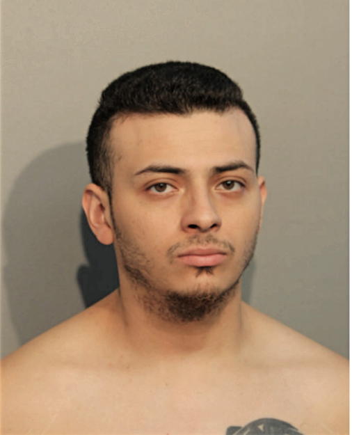 ROBERTO LEON, Cook County, Illinois