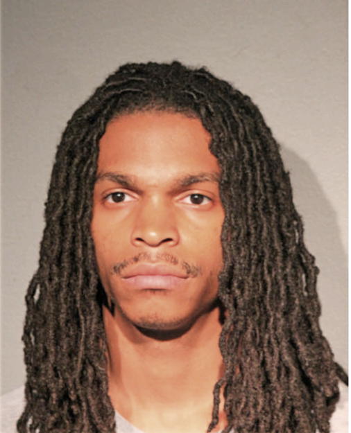 PATRICK J LEWIS, Cook County, Illinois