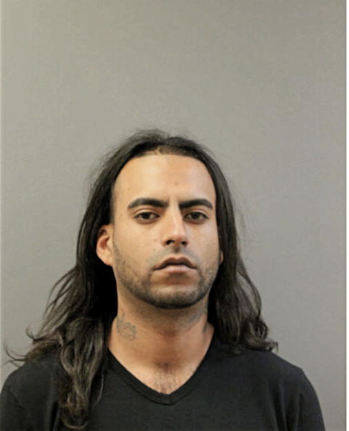 LOUIS A MIRANDA, Cook County, Illinois
