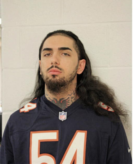 FLORIN MULOSMANI, Cook County, Illinois
