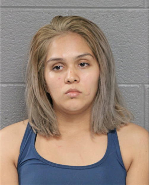 ALEJANDRA J MUNGUIA, Cook County, Illinois