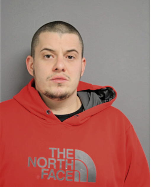 JOHN L NASEEF, Cook County, Illinois