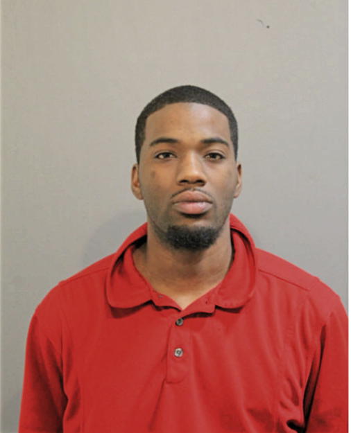 MICHAEL L RENFRO, Cook County, Illinois