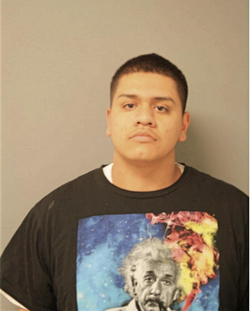 EFRAIN REYES, Cook County, Illinois