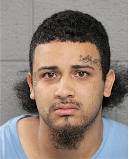 LUIS O RODRIGEZ, Cook County, Illinois